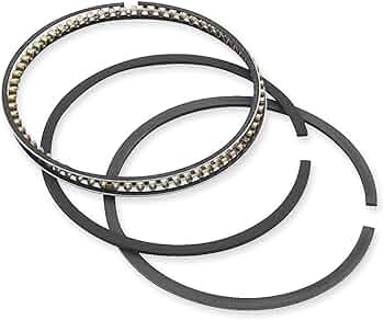 Engine piston ring set with circular metal rings arranged in multiple sizes